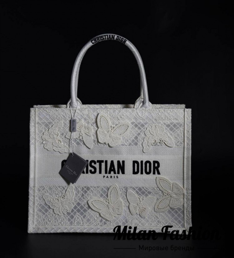 Сумка  Christian Dior V33573. Вид 1