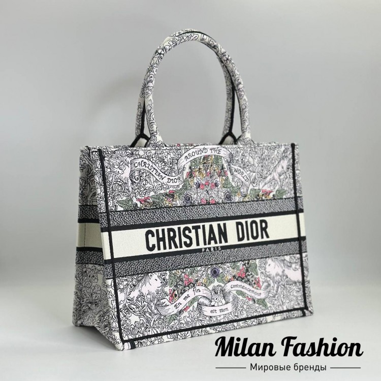 Сумка  Christian Dior V24558. Вид 1