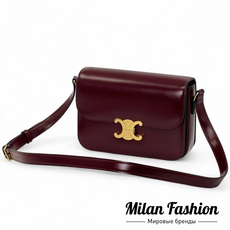 Сумка  Celine V52361. Вид 1