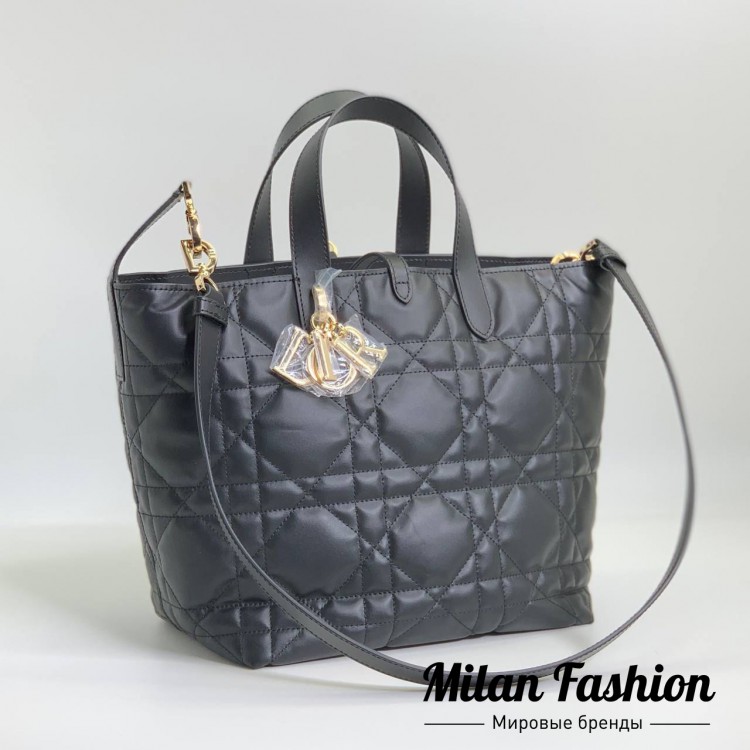 Сумка  Christian Dior V52129. Вид 1