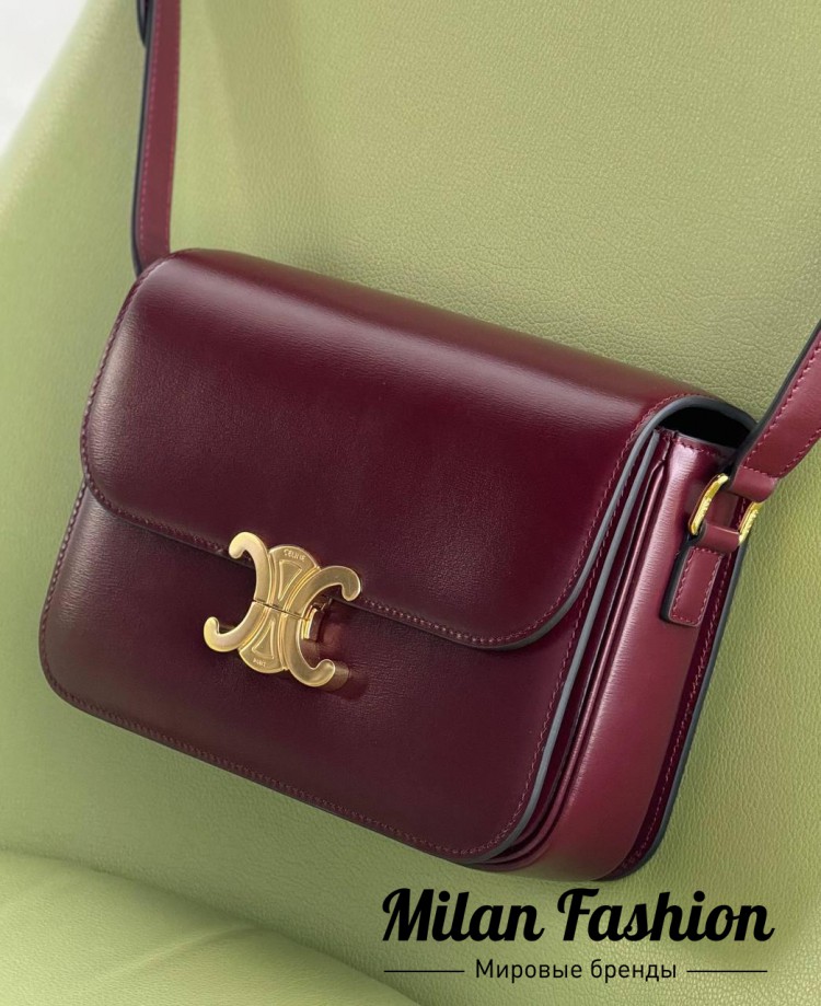 Сумка  Celine V52361. Вид 4