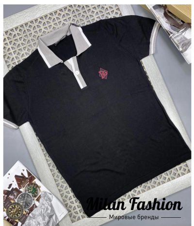 Поло Dolce & Gabbana #V7870