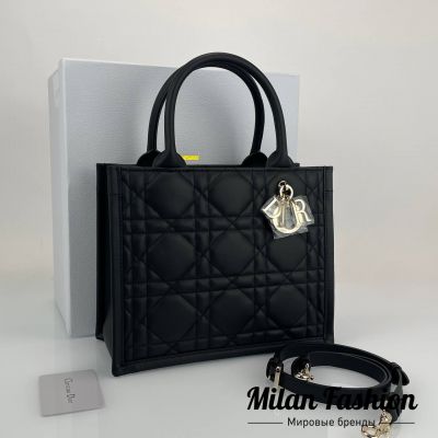 Сумка  Christian Dior #V52162