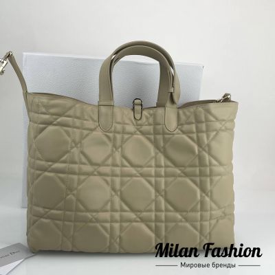 Сумка  Christian Dior #V52168