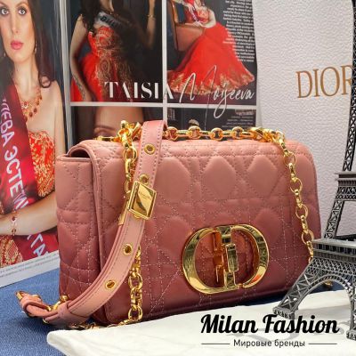 Сумка 20 Christian Dior #V7512
