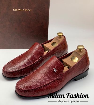 Лоферы мужские  Stefano Ricci #v0549