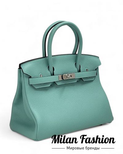 Сумка Birkin 30 Hermes #V11040