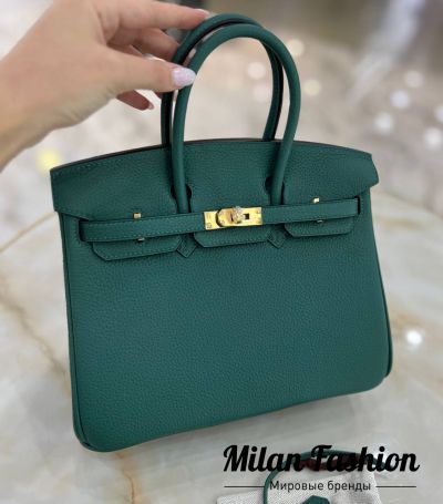Сумка Birkin 25 Hermes #V33529