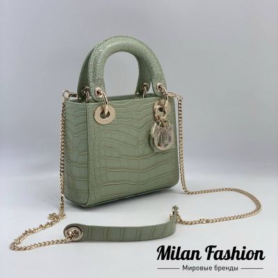 Сумка  Christian Dior #V39534