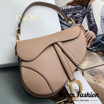 Сумка  Saddle Christian Dior #v0426