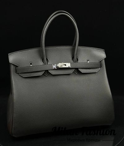 Сумка Birkin 35 Hermes #V32301