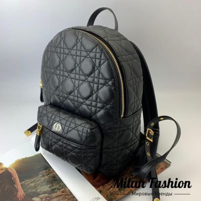 Рюкзак  Christian Dior #V10003