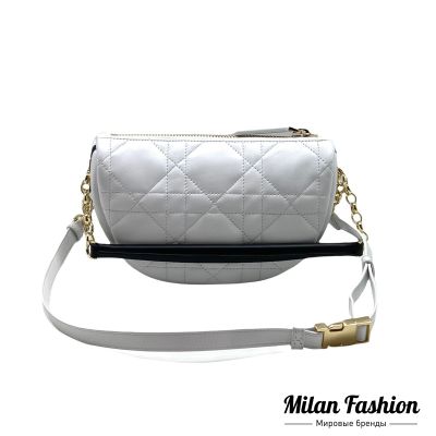 Сумка  Christian Dior #V11117