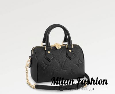 Сумка  Louis Vuitton #V14050