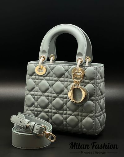 Сумка  Christian Dior #V11367