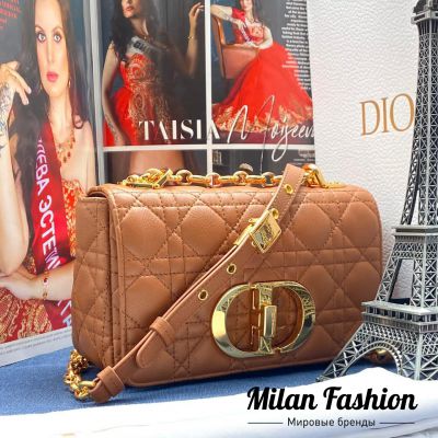 Сумка 20 Christian Dior #V7510