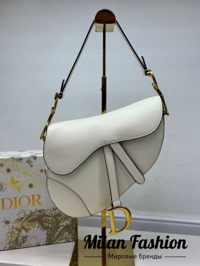 Сумка  Christian Dior #V31520