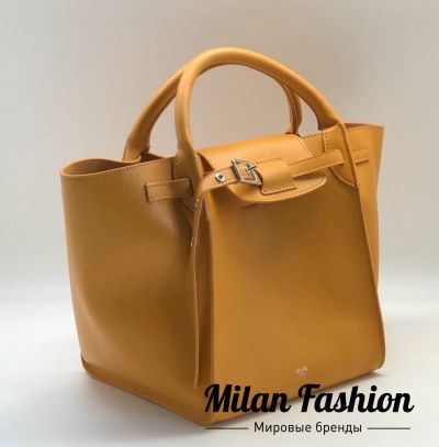 Сумка Celine #v1866