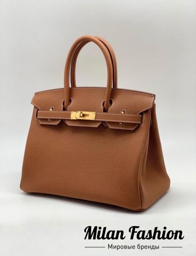 Сумка Birkin 25 Hermes #V3563