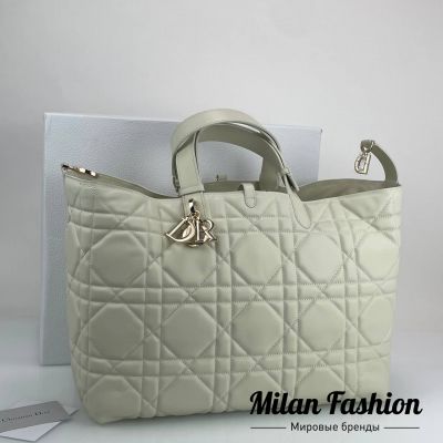 Сумка  Christian Dior #V52169