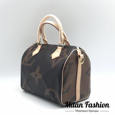 Сумка  Louis Vuitton #ds1021