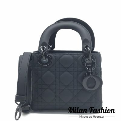 Сумка  Christian Dior #ds1039
