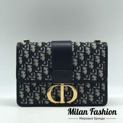 Сумка  Christian Dior #ds1258